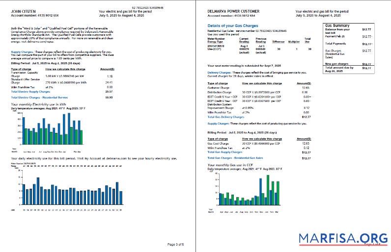 Realistic USA Delmarva Power utility bill template in Word and PDF formats, 5 pages, 3 4 pages